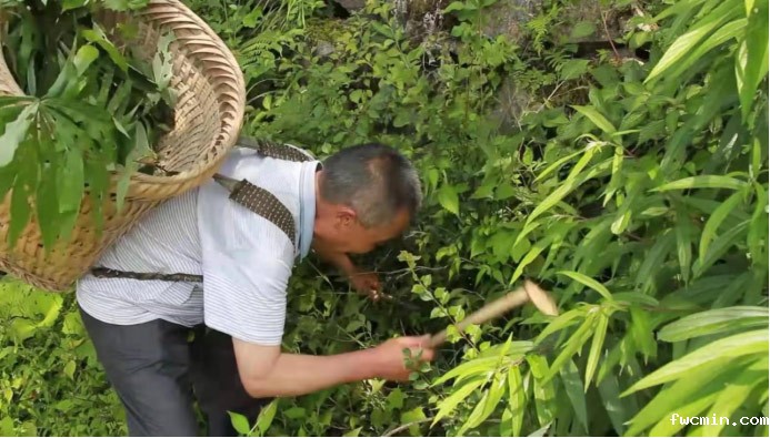 国家卫健委：村卫生室人均每年或可多收入2000元